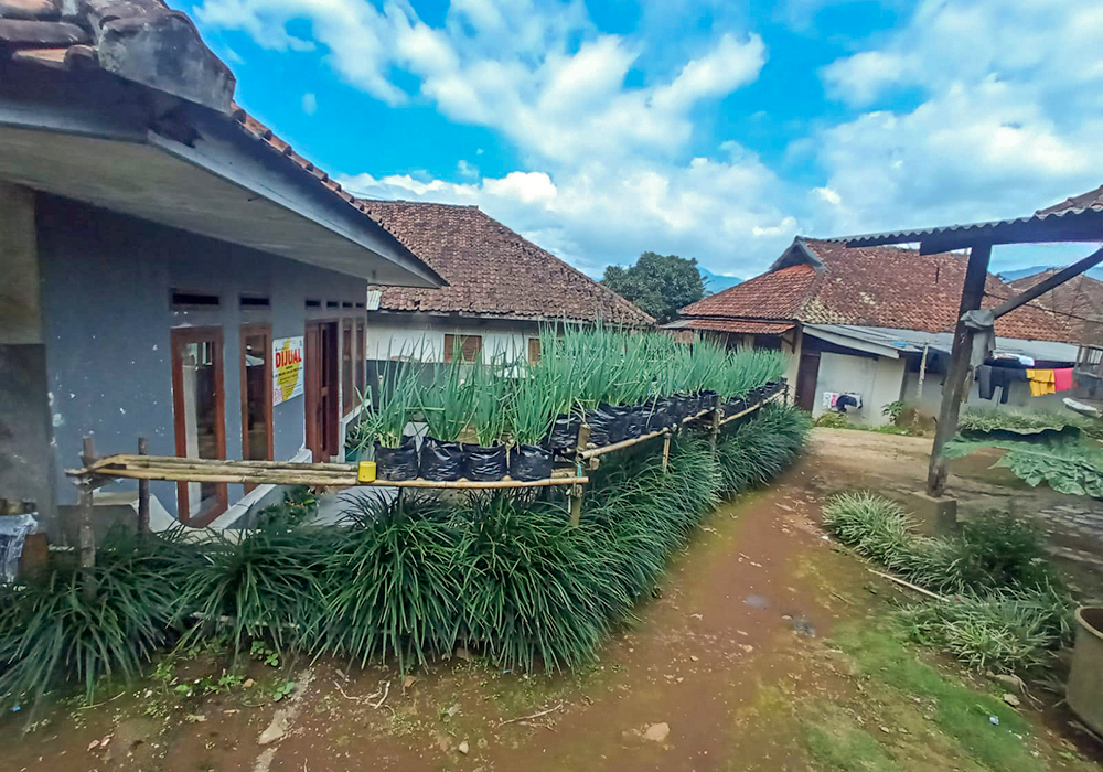 RUMAH DI KAB. SUBANG - NPL2602-1 - foto 2